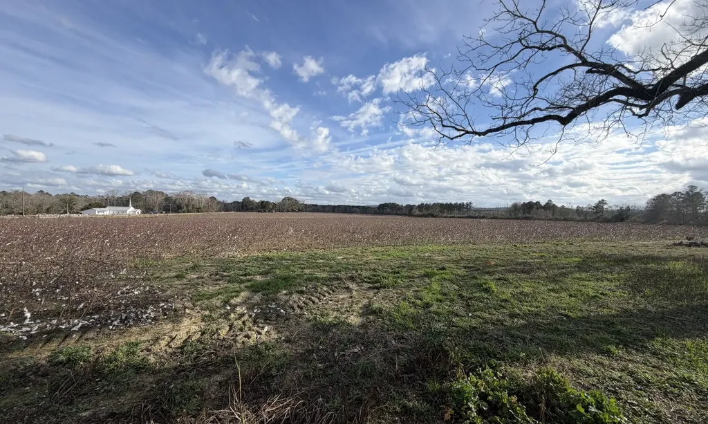 21 County Road 223 New Brockton AL 36351