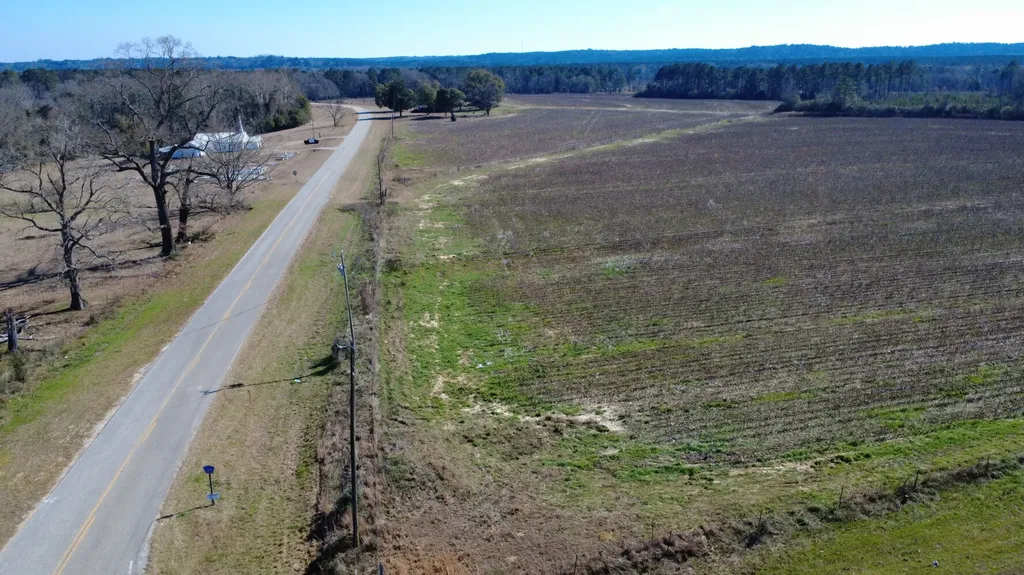 21 County Road 223 New Brockton AL 36351
