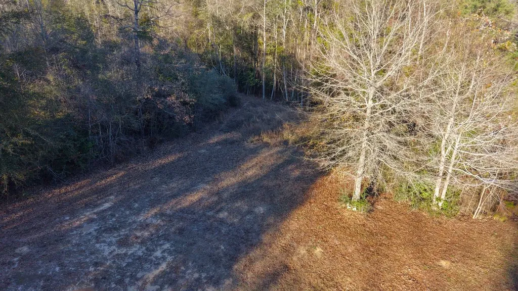 26137 Union Grove Road Opp AL 36467