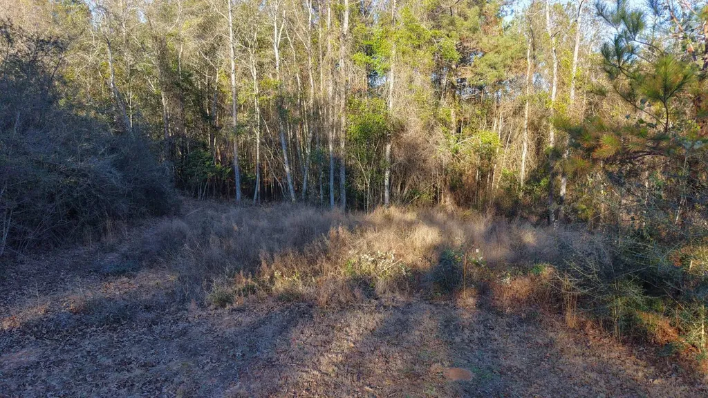 26137 Union Grove Road Opp AL 36467