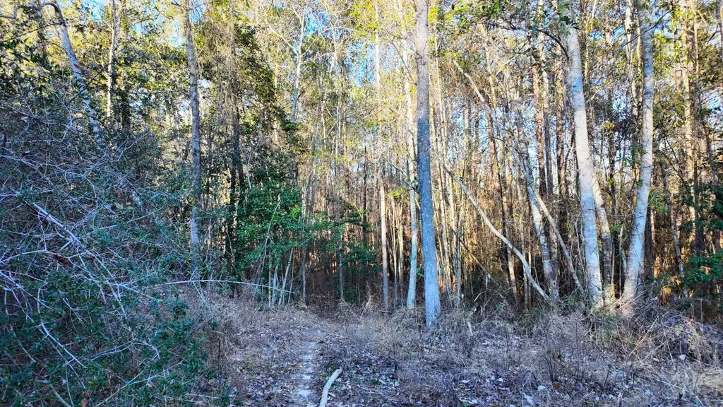 26137 Union Grove Road Opp AL 36467