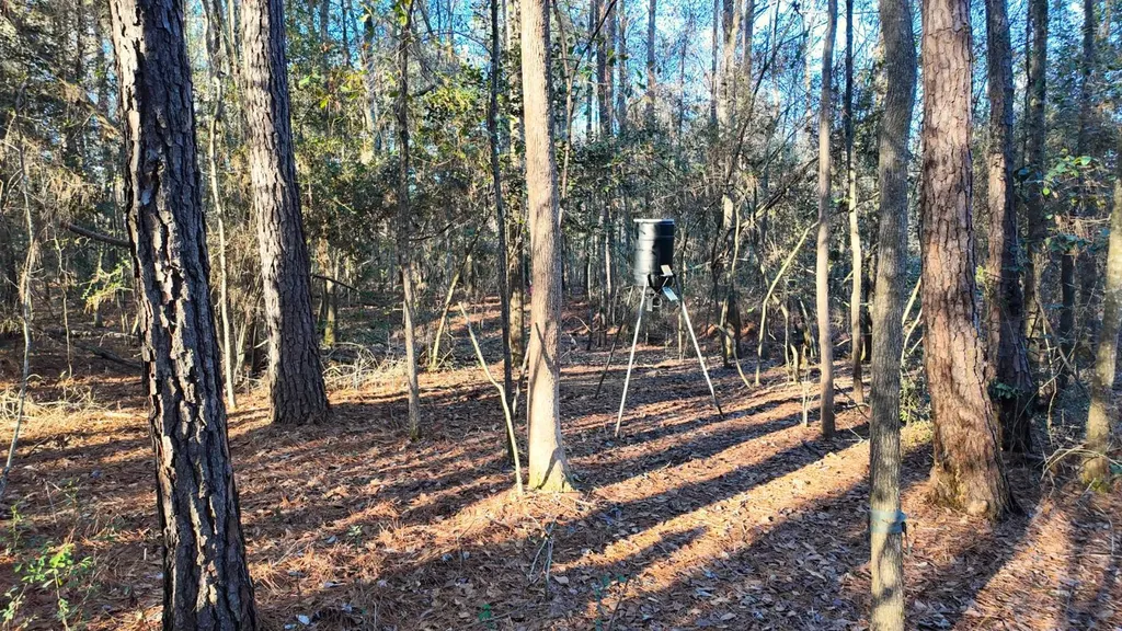 26137 Union Grove Road Opp AL 36467