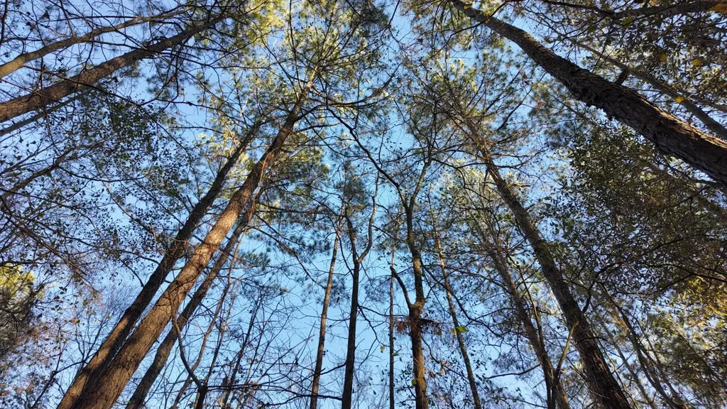 26137 Union Grove Road Opp AL 36467