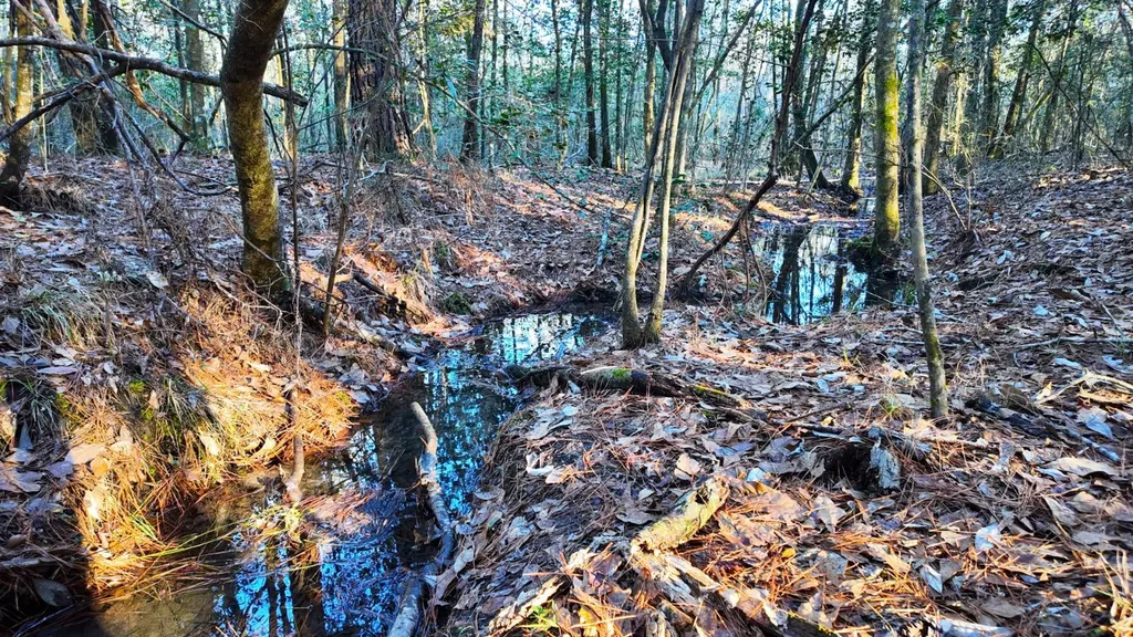 26137 Union Grove Road Opp AL 36467