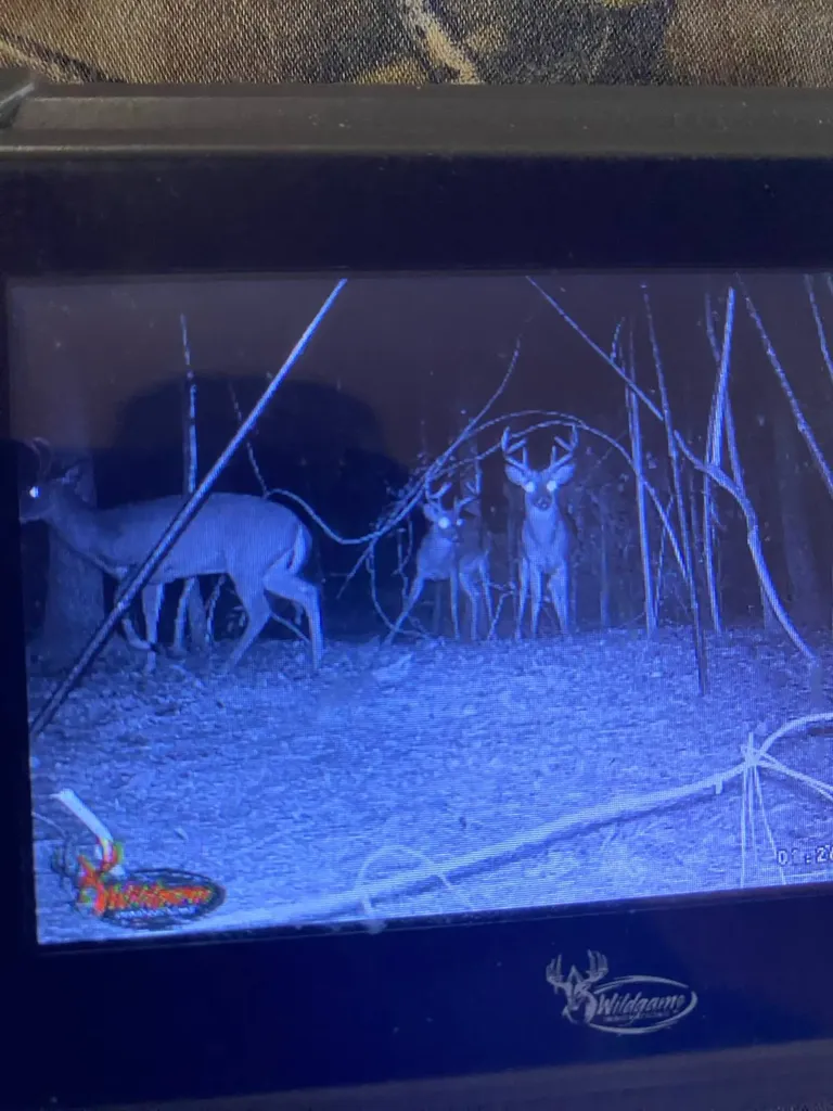 26137 Union Grove Road Opp AL 36467