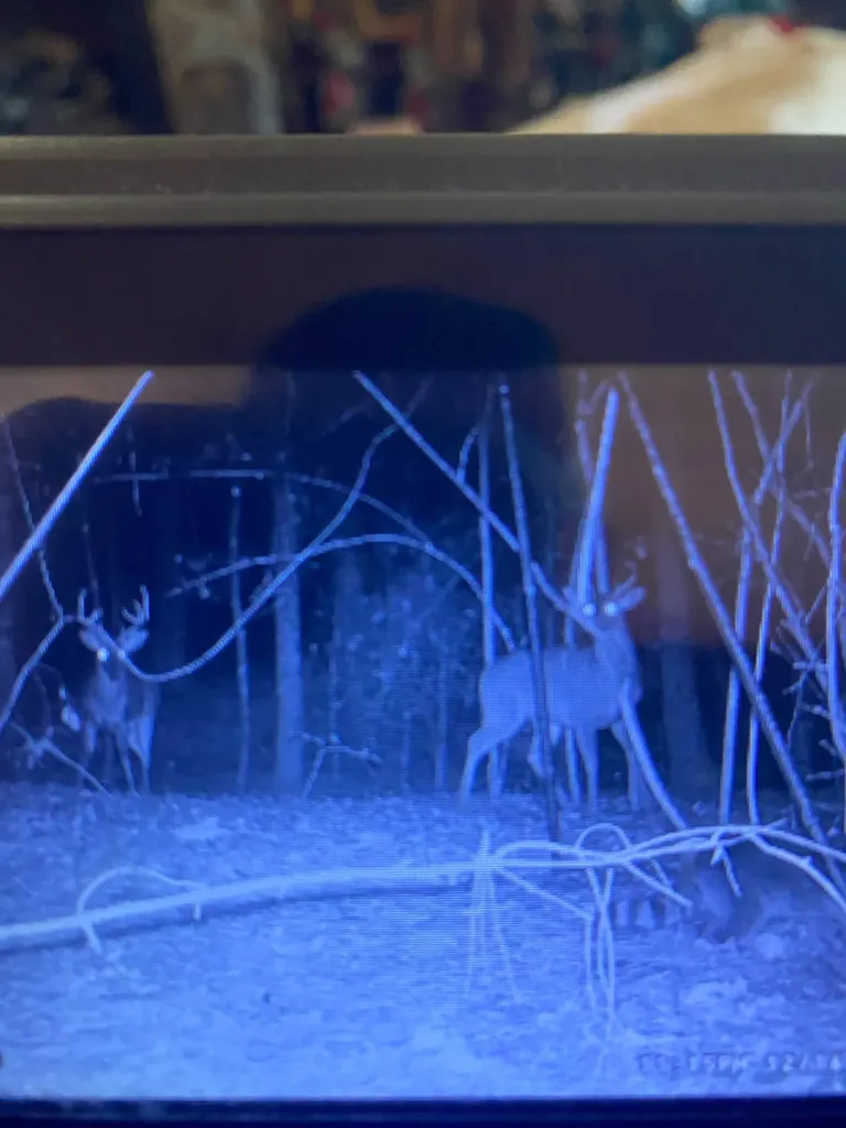 26137 Union Grove Road Opp AL 36467