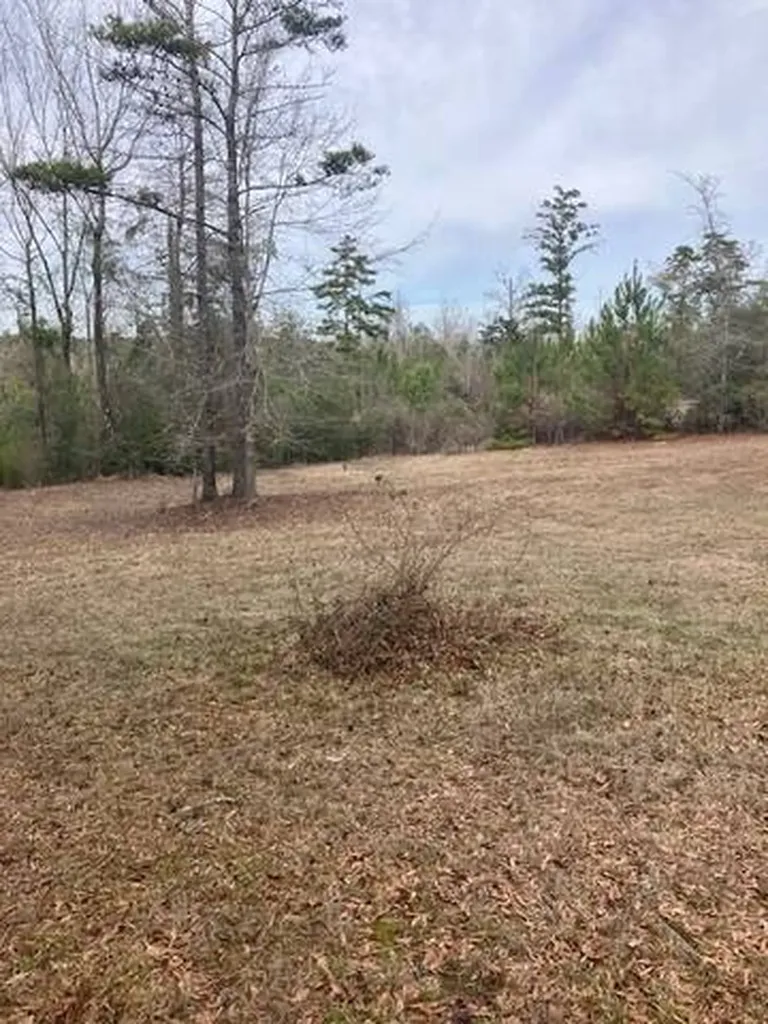 222 Gumball Lane Coffeeville AL 36524