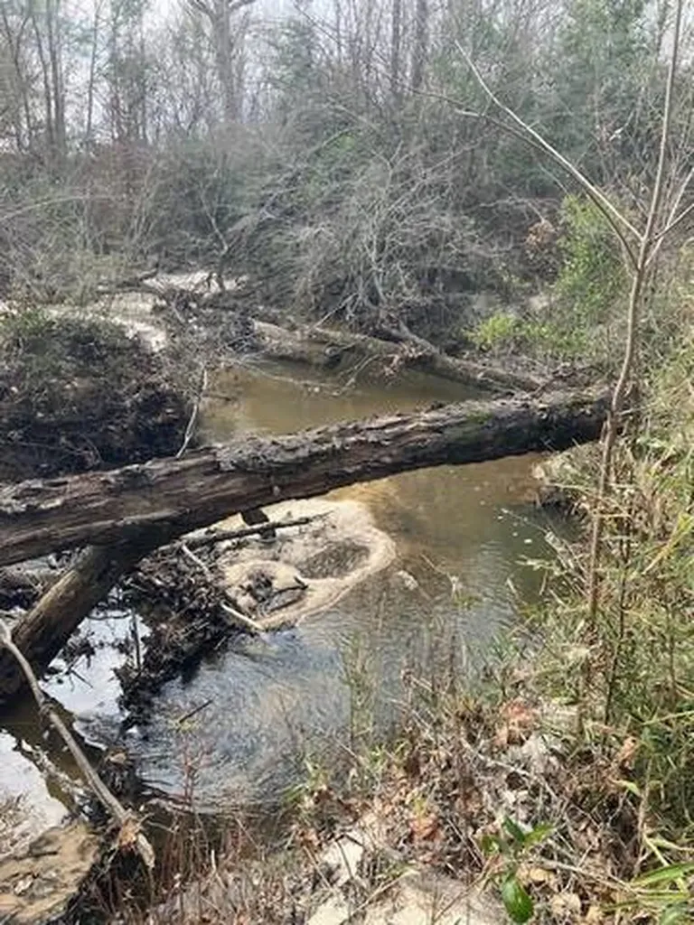 222 Gumball Lane Coffeeville AL 36524