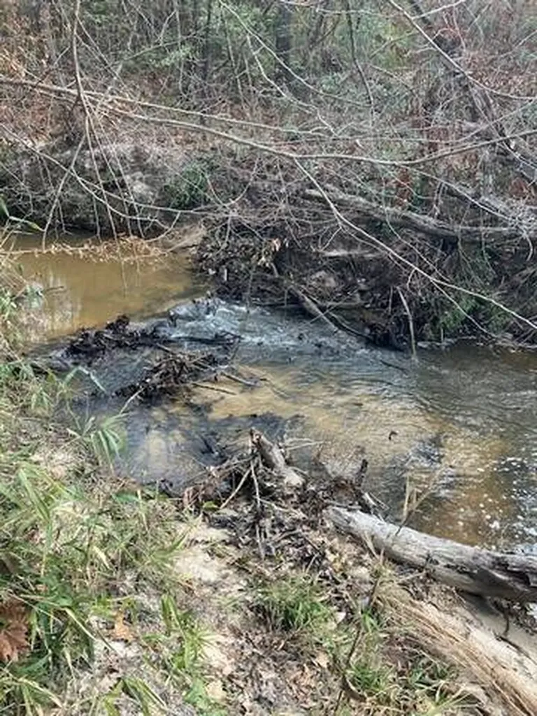 222 Gumball Lane Coffeeville AL 36524