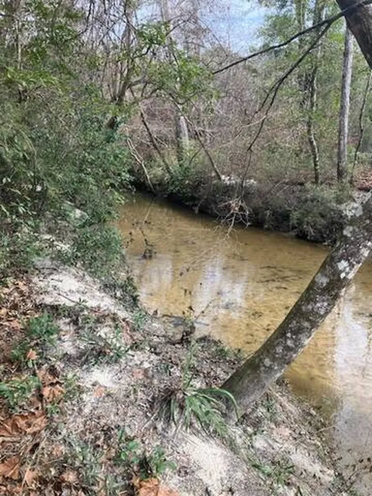 222 Gumball Lane Coffeeville AL 36524