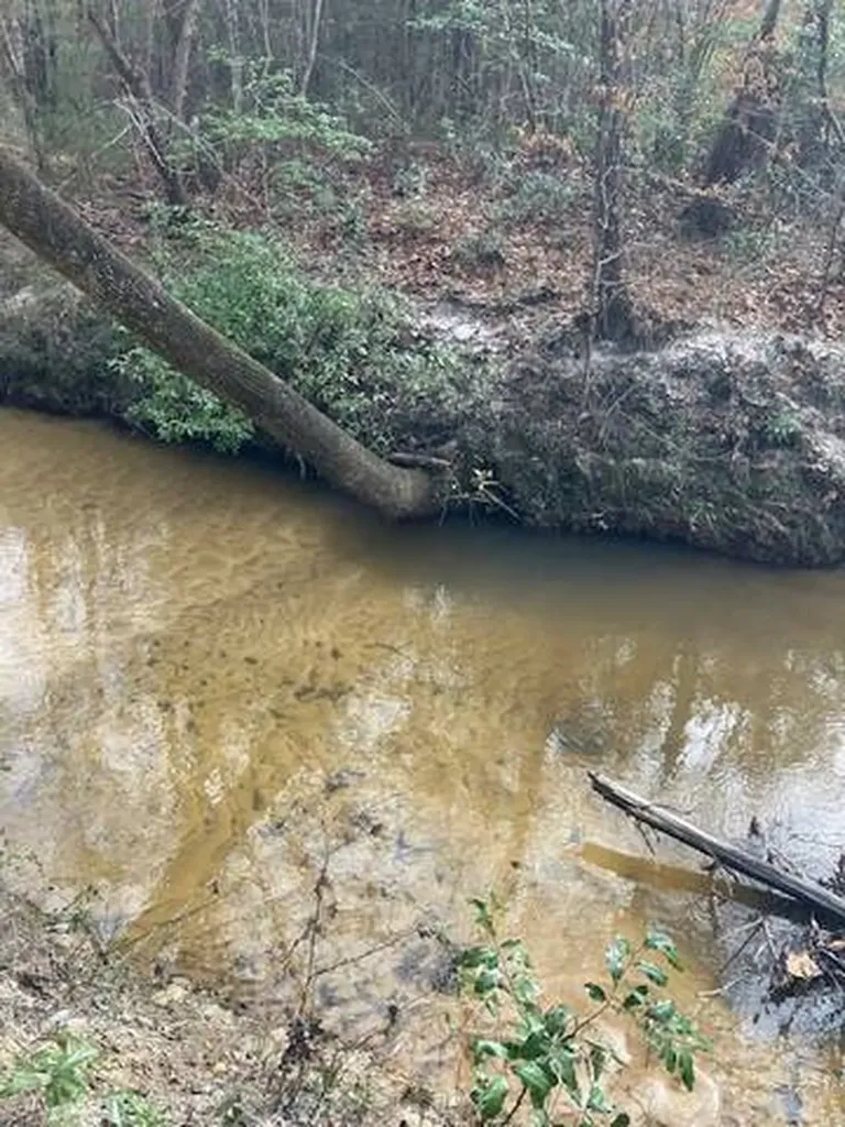 222 Gumball Lane Coffeeville AL 36524