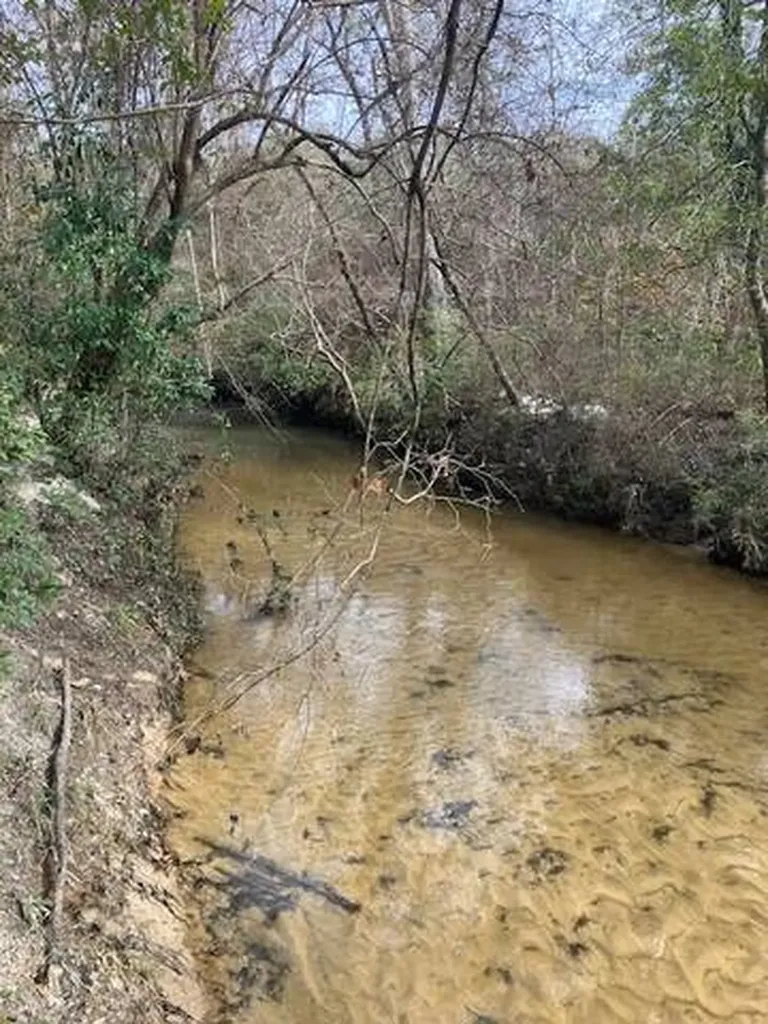 222 Gumball Lane Coffeeville AL 36524