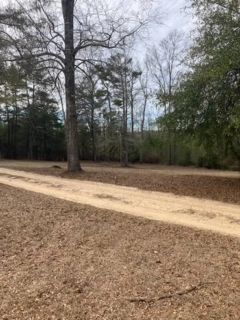 222 Gumball Lane Coffeeville AL 36524