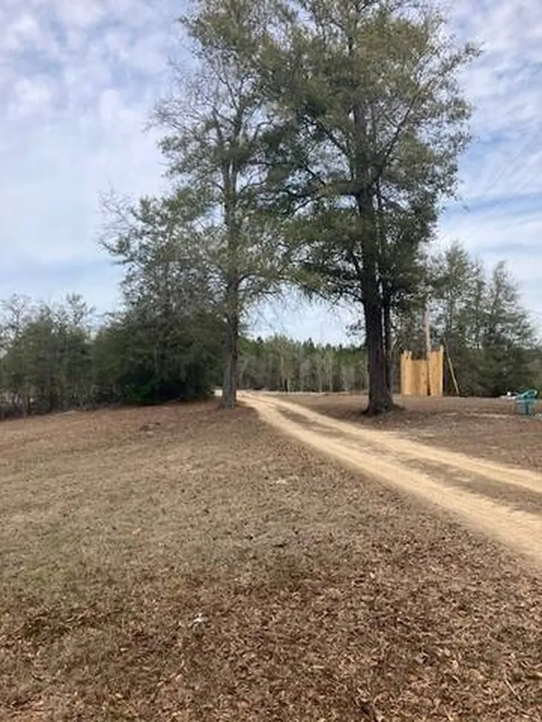 222 Gumball Lane Coffeeville AL 36524