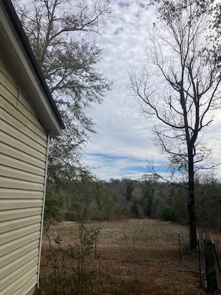 222 Gumball Lane Coffeeville AL 36524