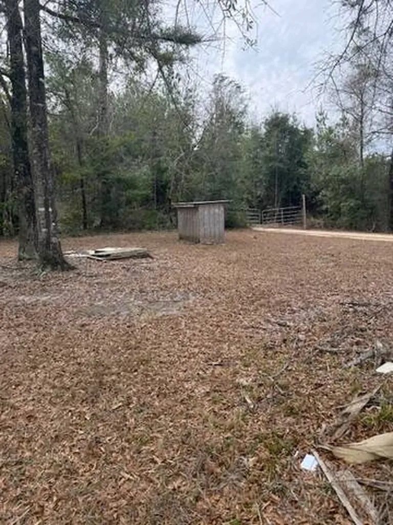 222 Gumball Lane Coffeeville AL 36524