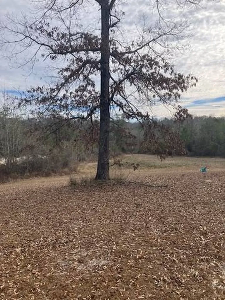 222 Gumball Lane Coffeeville AL 36524