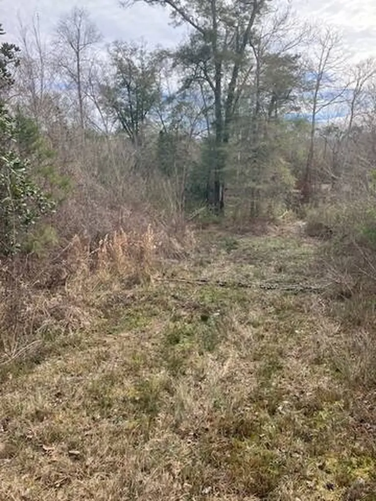 222 Gumball Lane Coffeeville AL 36524