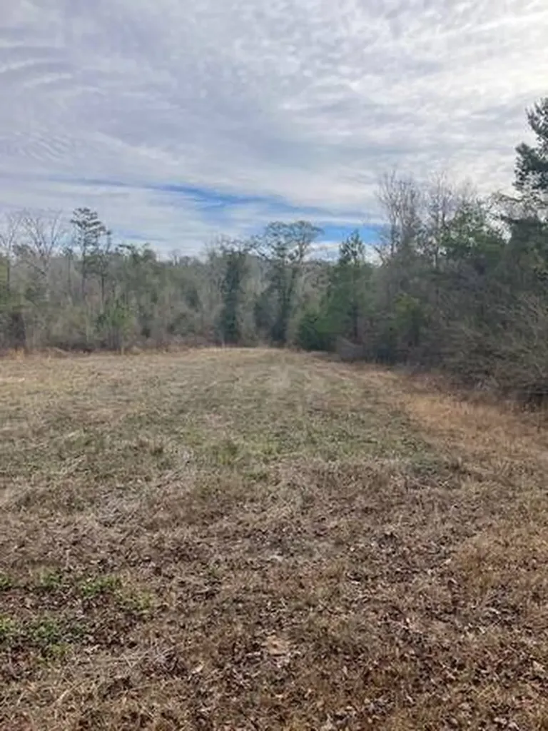 222 Gumball Lane Coffeeville AL 36524