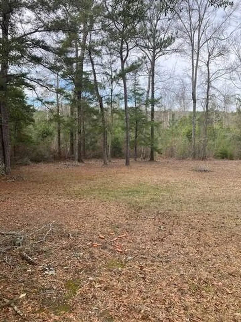 222 Gumball Lane Coffeeville AL 36524