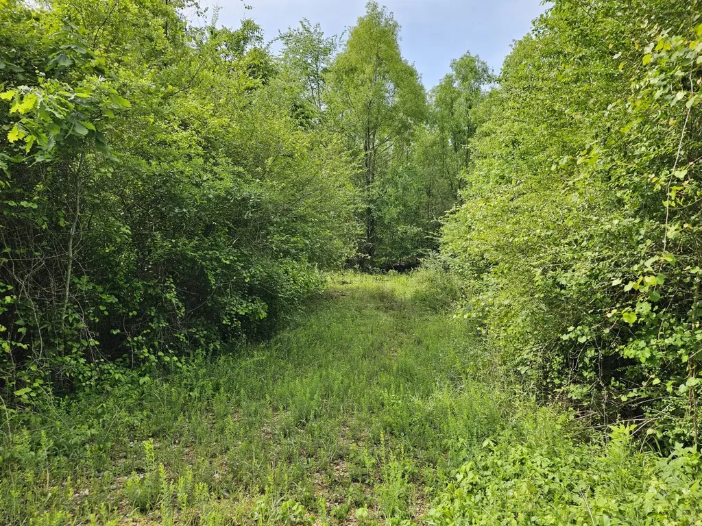 000 State Highway 19 Detroit AL 35552