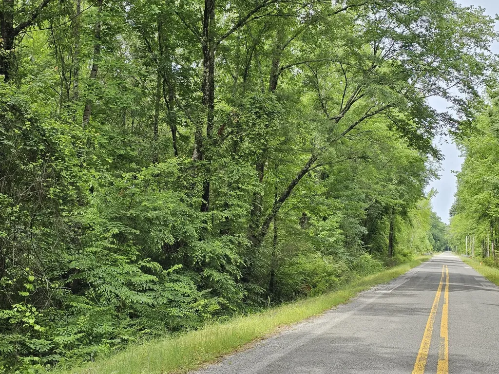 000 State Highway 19 Detroit AL 35552