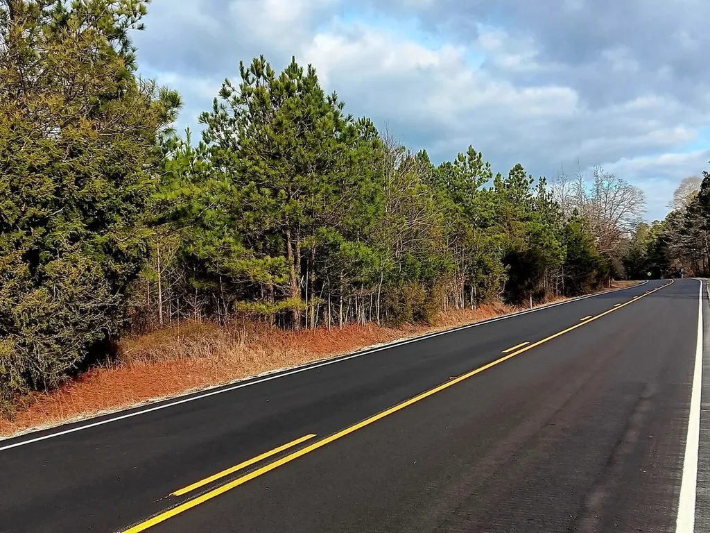 000 State Highway 19 Detroit AL 35552