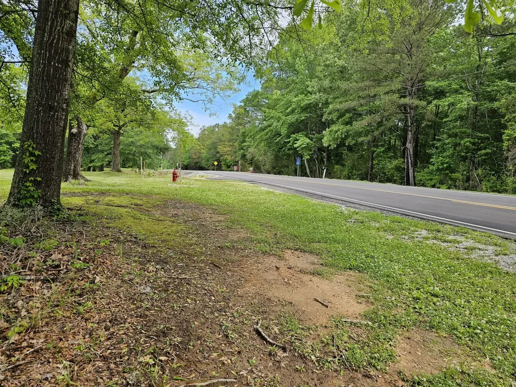 000 State Highway 19 Detroit AL 35552