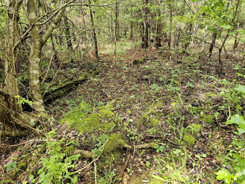 000 State Highway 19 Detroit AL 35552
