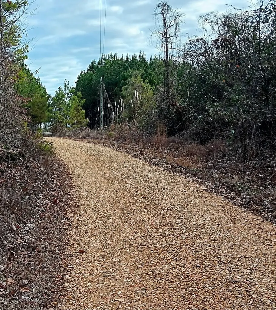 000D County Road 42 Guin AL 35563