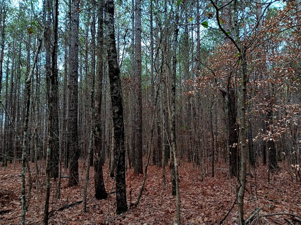 000D County Road 42 Guin AL 35563