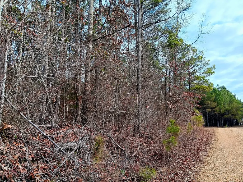 000D County Road 42 Guin AL 35563