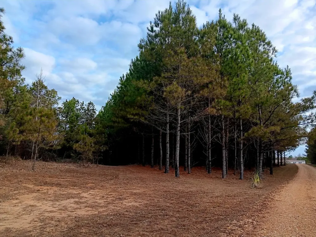 000D County Road 42 Guin AL 35563