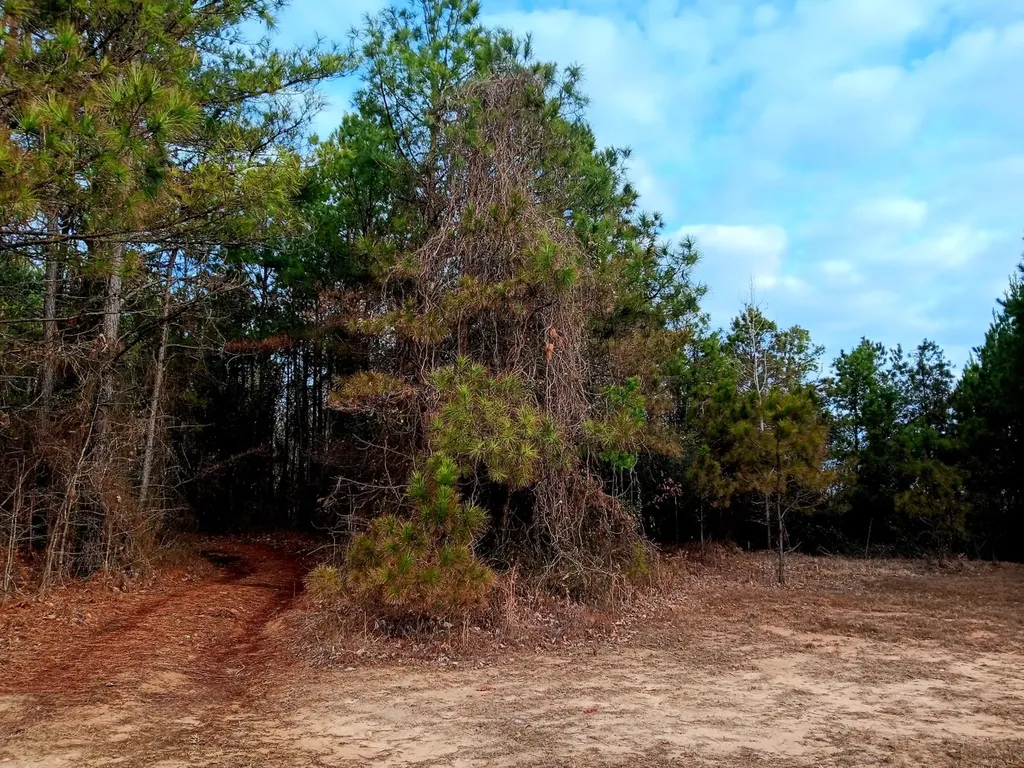 000D County Road 42 Guin AL 35563