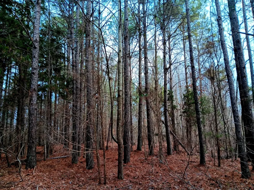000D County Road 42 Guin AL 35563
