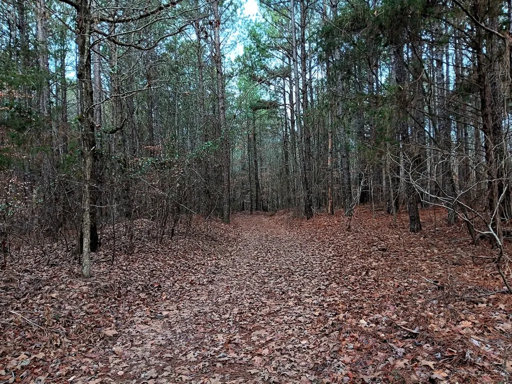 000D County Road 42 Guin AL 35563
