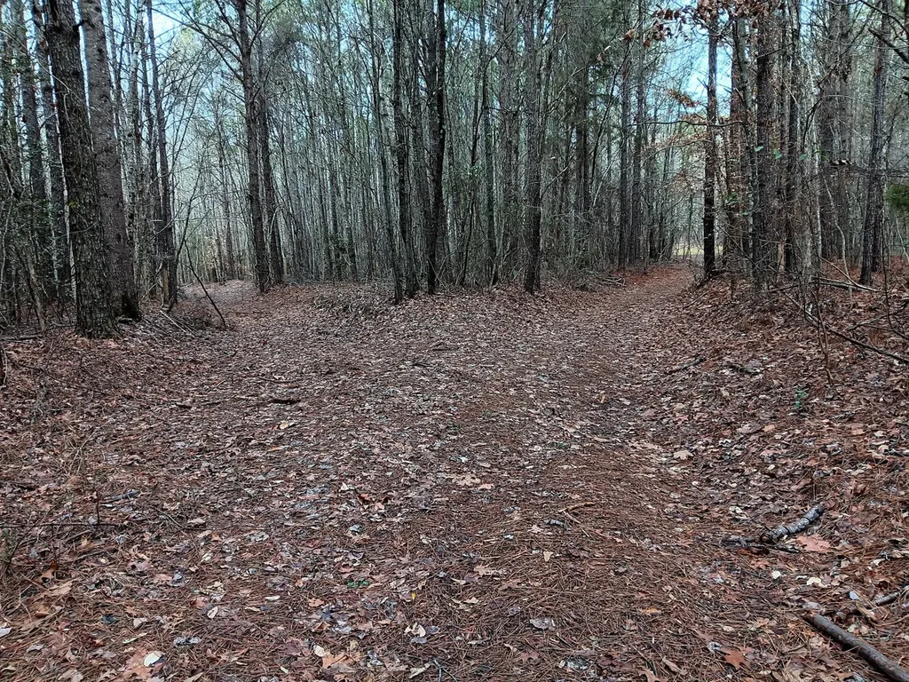 000D County Road 42 Guin AL 35563