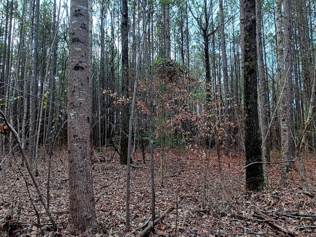 000D County Road 42 Guin AL 35563