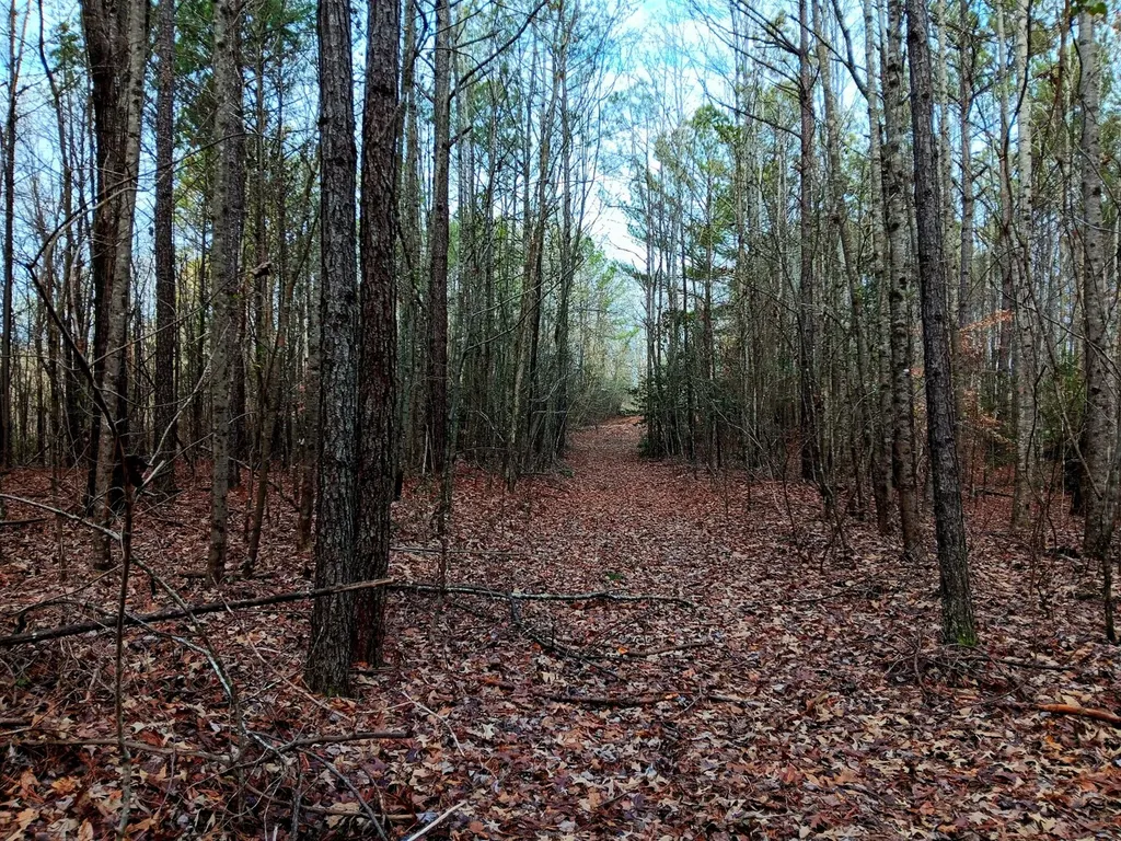 000D County Road 42 Guin AL 35563