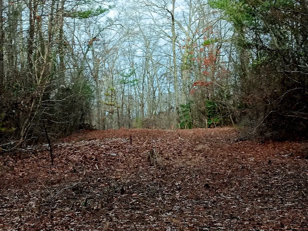 000D County Road 42 Guin AL 35563