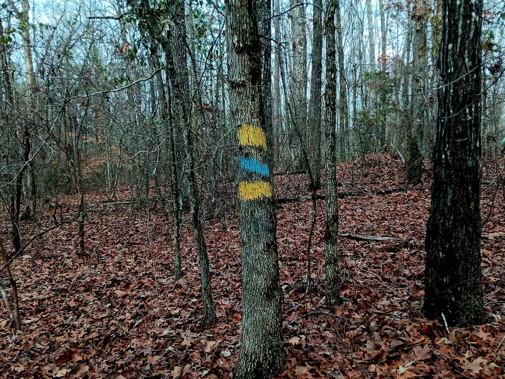 000D County Road 42 Guin AL 35563