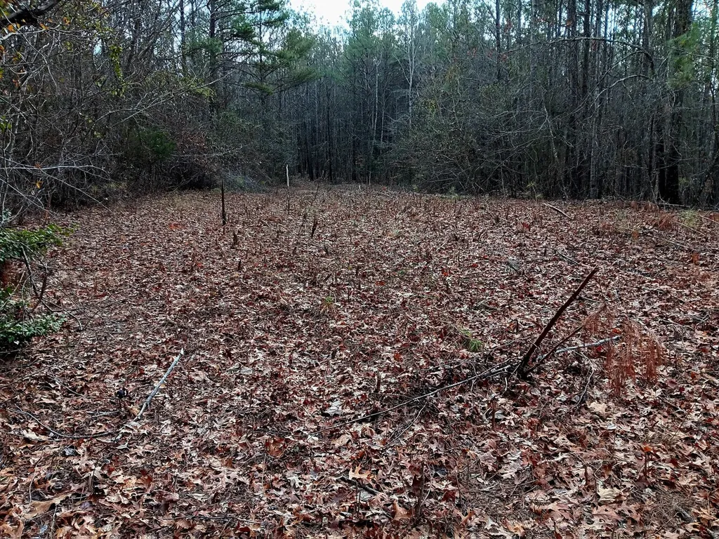 000D County Road 42 Guin AL 35563