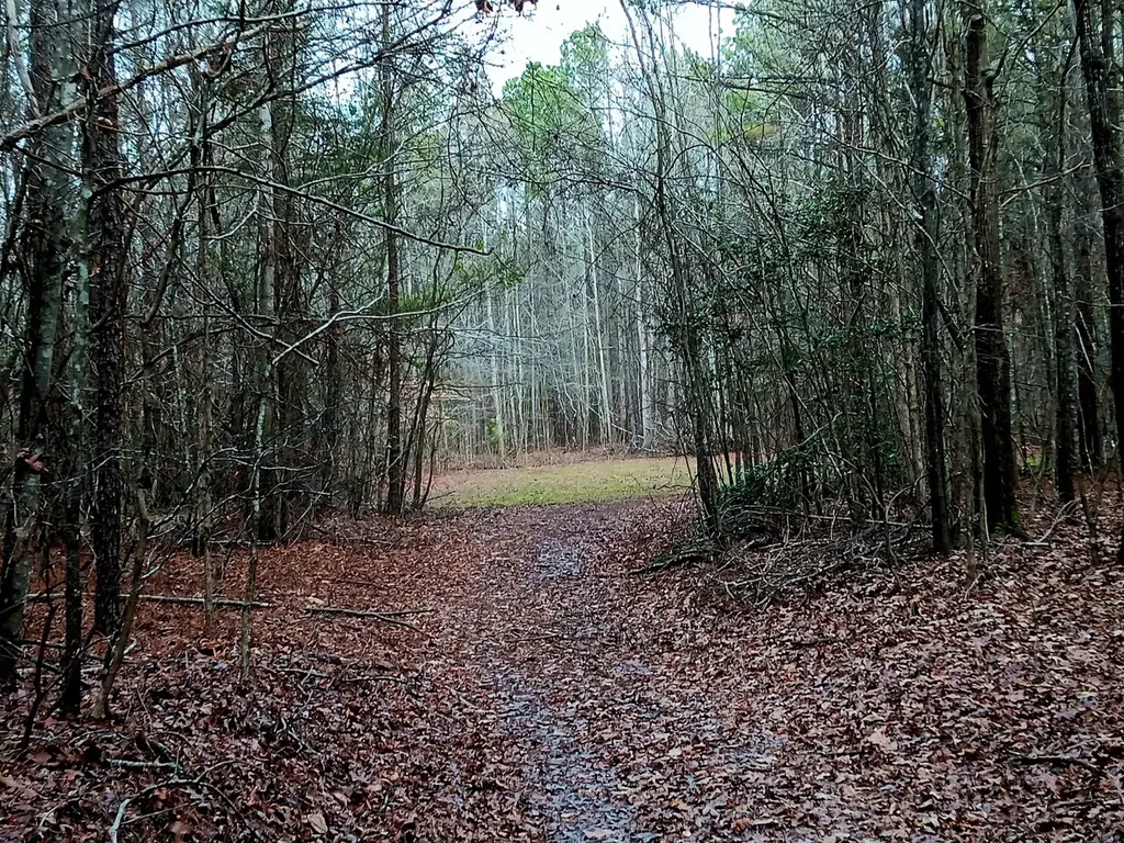 000D County Road 42 Guin AL 35563