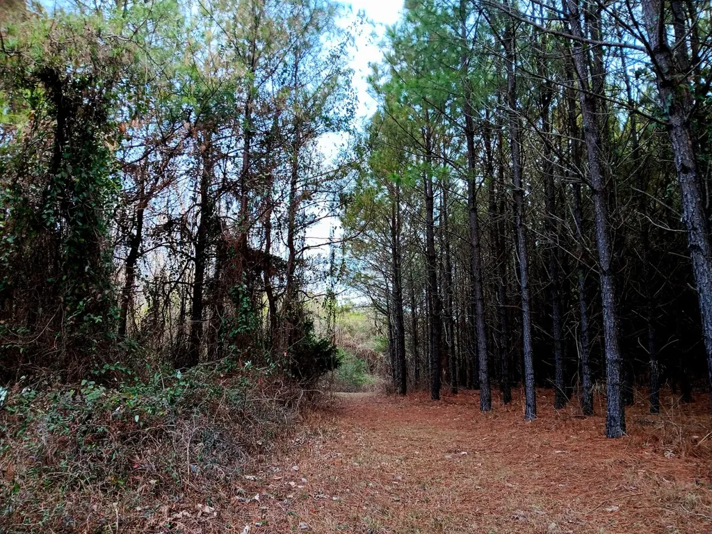 000D County Road 42 Guin AL 35563