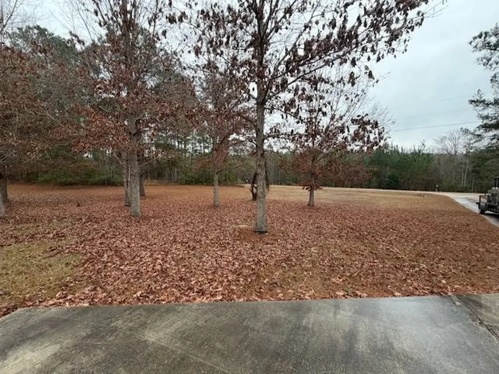 240 Mayberry Gulley Road Dozier AL 36028