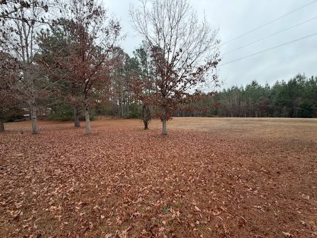 240 Mayberry Gulley Road Dozier AL 36028