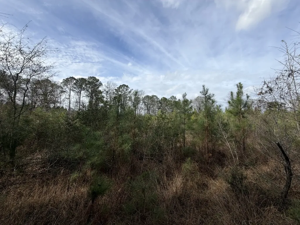 3 County Road 239 New Brockton AL 36351