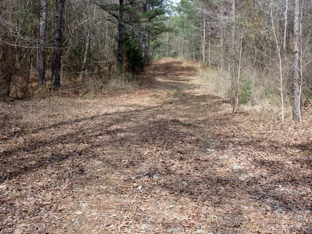 000 Gary Springs Loop Centreville AL 35042