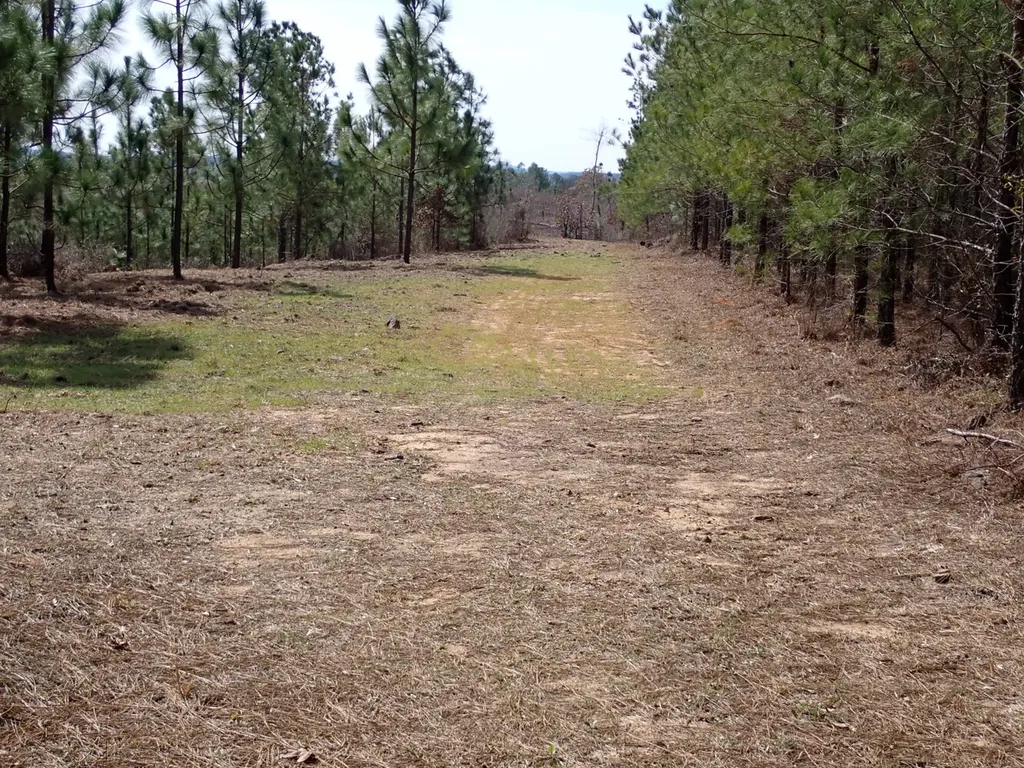 000 Gary Springs Loop Centreville AL 35042