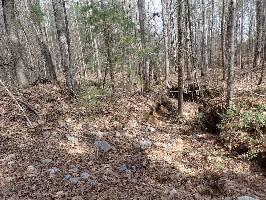 000 Gary Springs Loop Centreville AL 35042